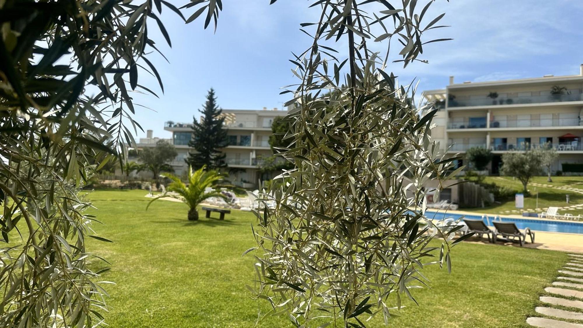 Charmant Appartement A 1Km De La Plage, Avec Piscine A Albufeira Exterior foto